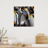 Poster King Penguin (Cuisine)