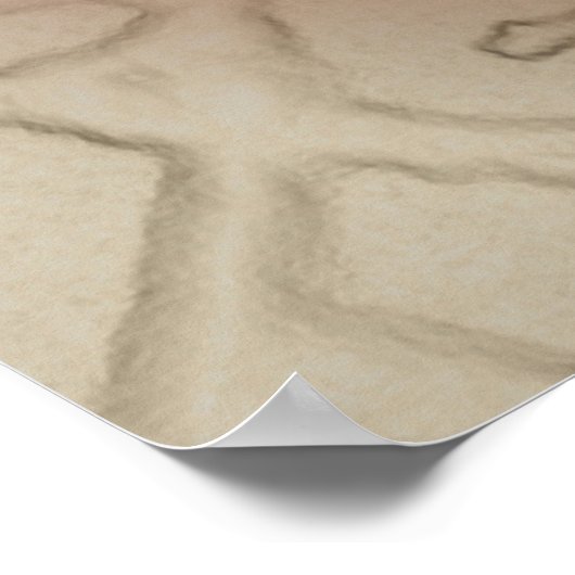 Poster King Protea (Coin)