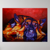 Poster King Shepherd (Devant)