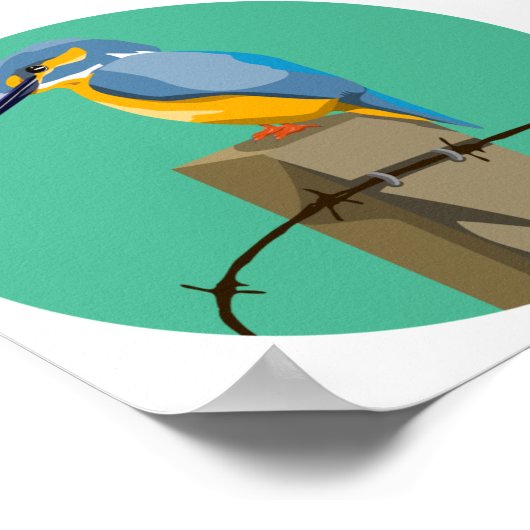 Poster Kingfisher (Coin)