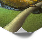 Poster Kingfisher (Coin)