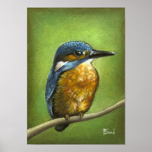 Poster Kingfisher (Devant)