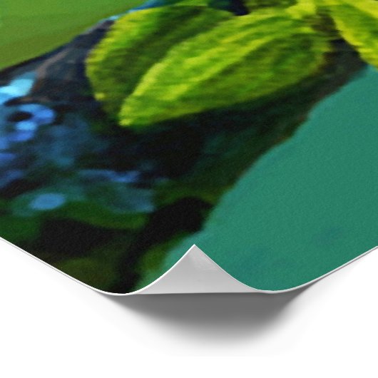 Poster Kingfisher (Coin)