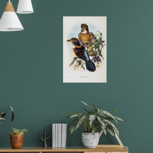 Poster Kingfisher à bec cuillère par John Gould (Salon 1)