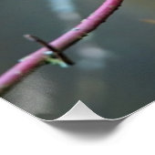 Poster Kingfisher assis sur une branche (Coin)