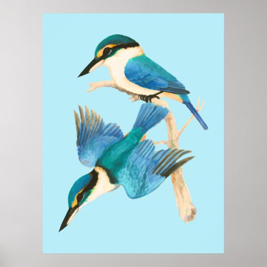Poster Kingfisher Birds Aquarelle bleue (Devant)