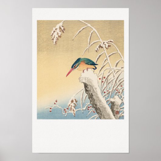 Poster Kingfisher dans la neige (Devant)