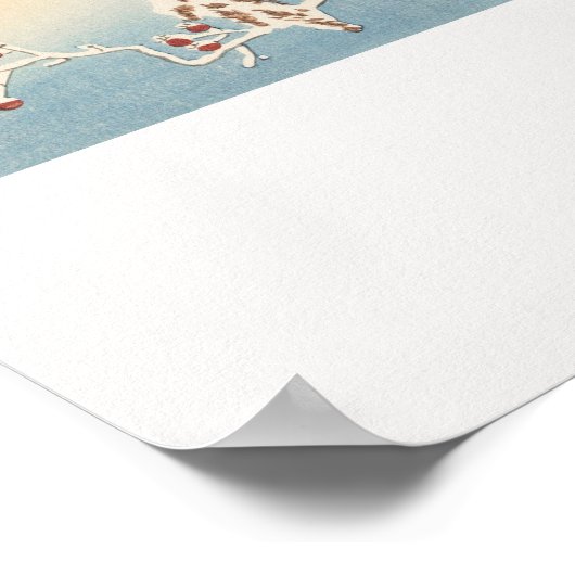 Poster Kingfisher dans la neige (Coin)