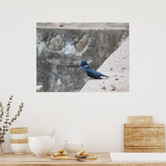 Poster Kingfisher géant sur le bord (Cuisine)