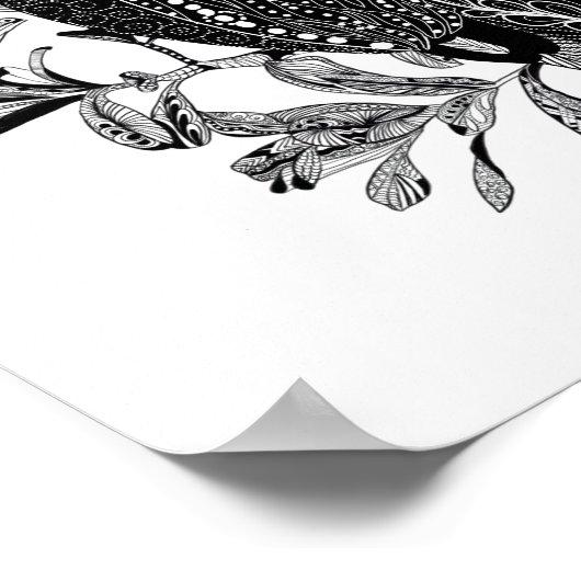 Poster Kingfisher Kookaburra (Coin)