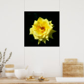 Poster King's Ransom, rose de thé hybride (Cuisine)