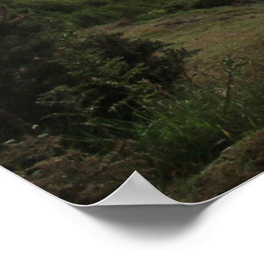 Poster Kinnoull Hill View, Perth (Coin)