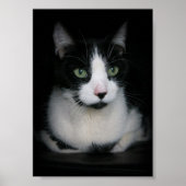 Poster Kirby (Devant)