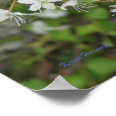 Poster Kirsti Harmaja (Coin)