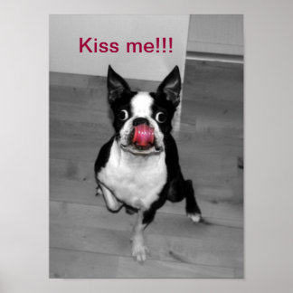 POSTER KISS ME