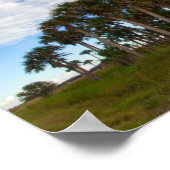 Poster Kissimmee Prairie Hammock, Floride (Coin)