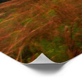 Poster Kissimmee prairie preserve state park, Florida (Coin)