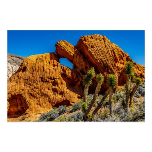 Poster Kissing Turtle Rock Glossy (Devant)