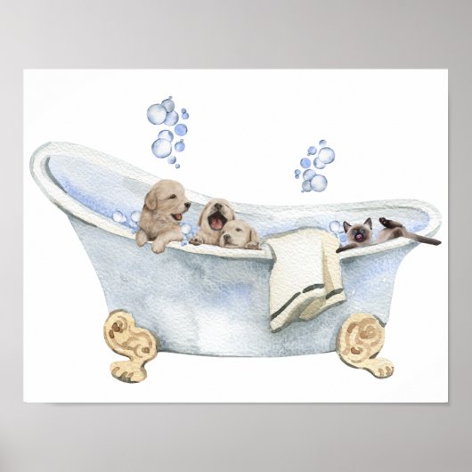 Poster Kit de chiots au bain moussant Chatons Baignoire S (Devant)