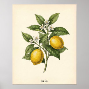 Poster Kit de Maison de Ferme Botanique de Citron Vintage