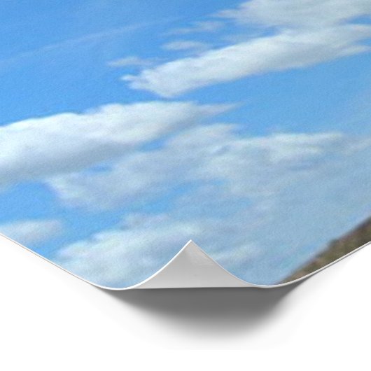 Poster - Kite (Coin)