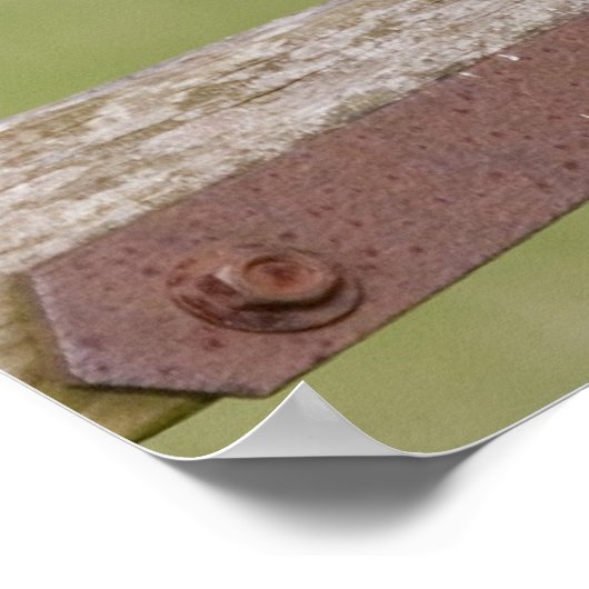 Poster Kite rouge (Coin)