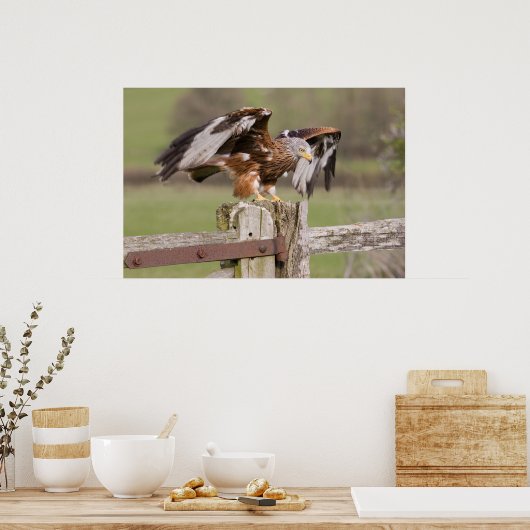 Poster Kite rouge (Cuisine)