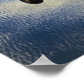 Poster Kitfox au-dessus du lac (Coin)