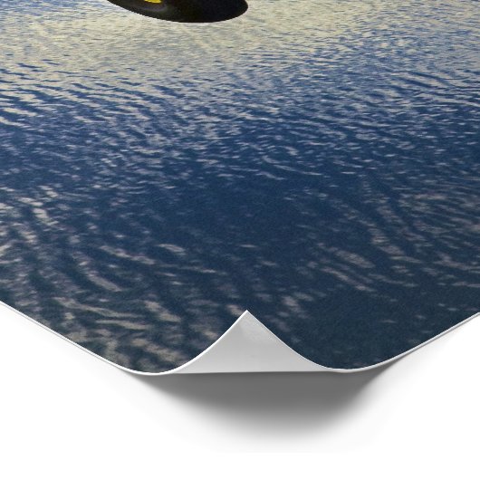 Poster Kitfox au-dessus du lac (Coin)