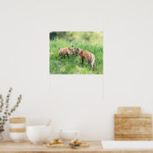 Poster Kits de Fox rouge (Cuisine)