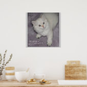 Poster Kitten (Cuisine)