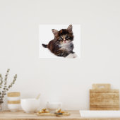 Poster Kitten (Cuisine)