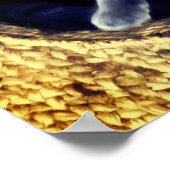 Poster Kitten (Coin)