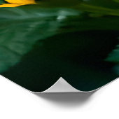 Poster Kitten adorable aux yeux bleus (Coin)