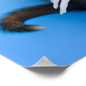 Poster Kitten Avec Ailes (Coin)