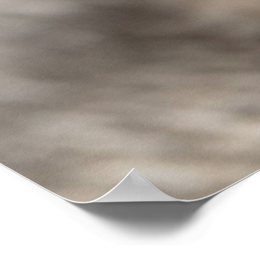 Poster Kitten blanc (Coin)