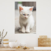 Poster Kitten blanc (Cuisine)