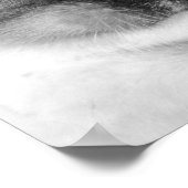 Poster Kitten blanc aux yeux bleus (Coin)