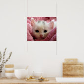Poster Kitten chaud dans une couverture (Cuisine)