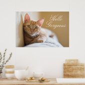 Poster Kitten Couché Sur Le Canapé (Cuisine)