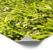 Poster Kitten Courage (Hoek)