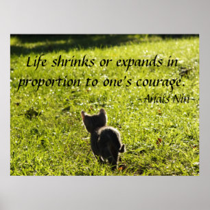 Poster Kitten Courage