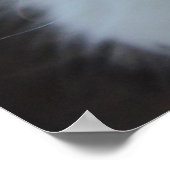 Poster Kitten de curla blanche américaine (Coin)