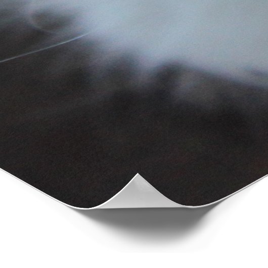 Poster Kitten de curla blanche américaine (Coin)