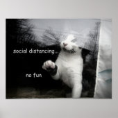 Poster Kitten Distances Sociales (Devant)