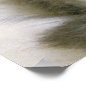 Poster Kitten dormant sur un tapis blanc, haut (Coin)