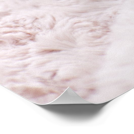 Poster Kitten Dormir sur la serviette (Coin)