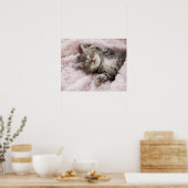 Poster Kitten Dormir sur la serviette (Cuisine)