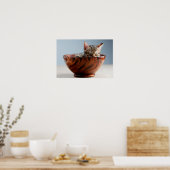 Poster Kitten dort dans un bol (Cuisine)