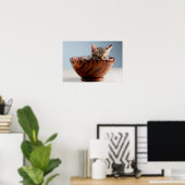 Poster Kitten dort dans un bol (Bureau à domicile)